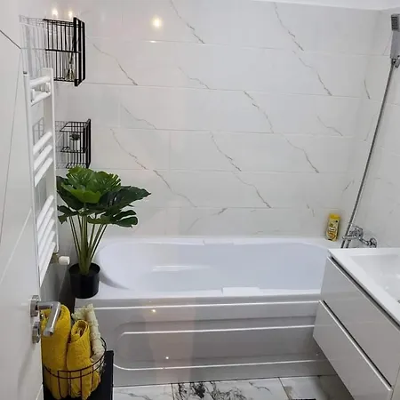 Apartament 2 Lägenhet Cluj-Napoca